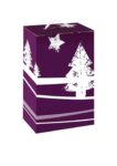 Caja de 4 Botellas para Lotes 3518